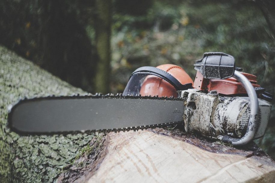 What Oil for Chainsaw Bars is Best for lubrication?